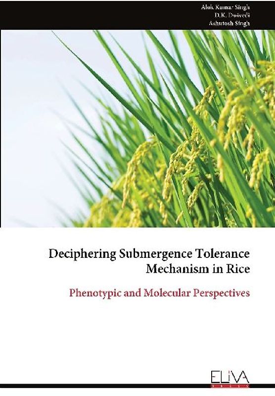 Deciphering Submergence Tolerance Mechanism in Rice