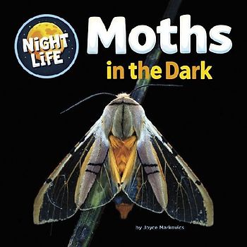 Moths in the Dark