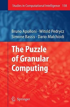 The Puzzle of Granular Computing