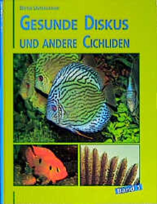 Gesunde Diskus und Gross Cichliden