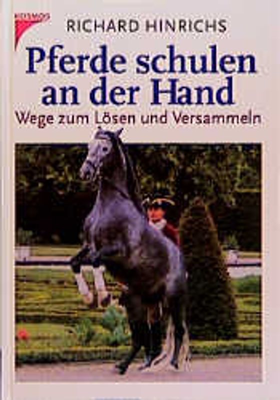 Pferde schulen an der Hand
