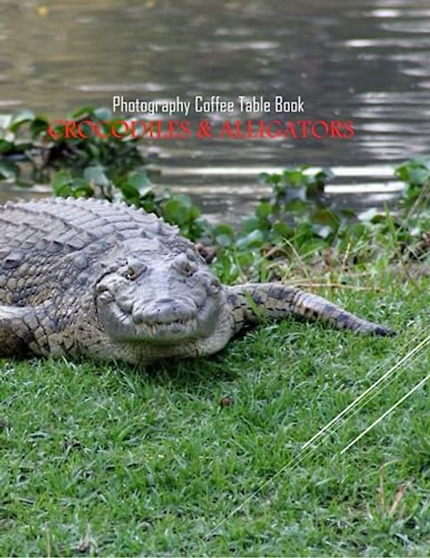 CROCODILES & ALLIGATORS Photography Coffee Table Book: Crocodiles And Elligators: 40 Cute Images of these Amazing Creatures - Perfect Gift for all, Coffee Table Book Paperback – June 6,2023.