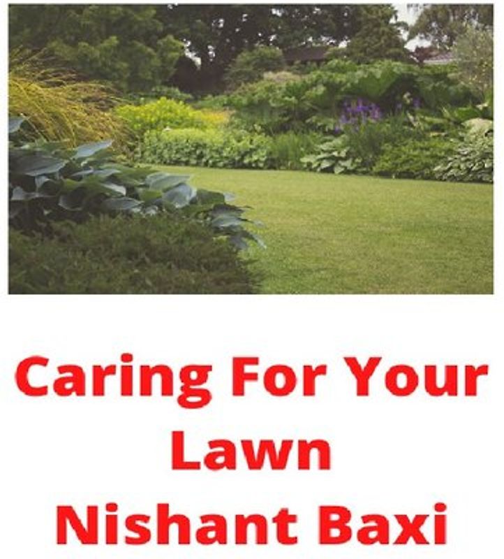 Caring For Your Lawn