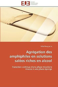 Agrégation des amphiphiles en solutions salées riches en alcool