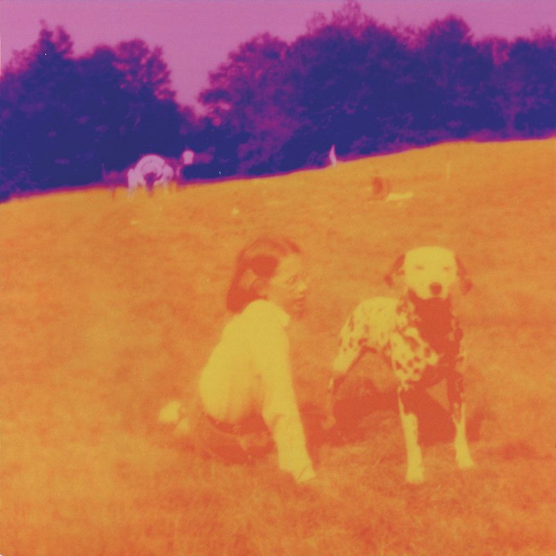 Eels - Blinking Lights and Other Revelations