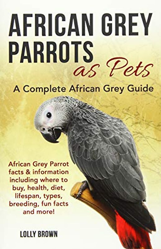 African Grey Parrots as Pets: African Grey Parrot facts & information including where to buy, health, diet, lifespan, types, breeding, fun facts and more! A Complete African Grey Guide