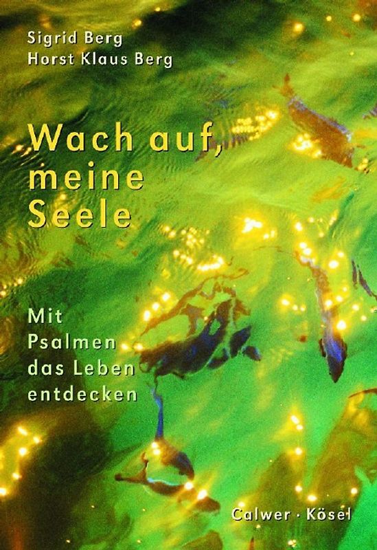 Wach auf, meine Seele. Mit Psalmen das Leben entdecken