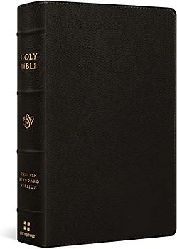 ESV Large Print Personal Size Bible (Buffalo Leather, Deep Brown)