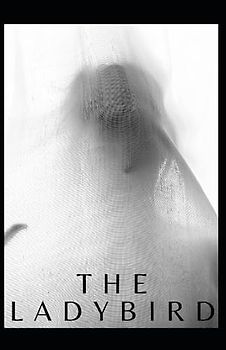 The Ladybird Annotated