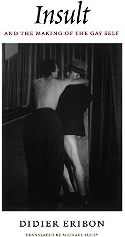 Insult and the Making of the Gay Self (Series Q)