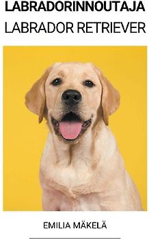 Labradorinnoutaja (Labrador Retriever)