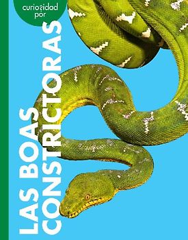 Curiosidad Por Las Boas Constrictoras