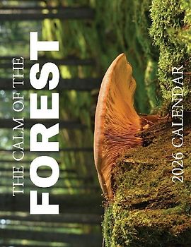 The Calm of the Forest 2026 Calendar