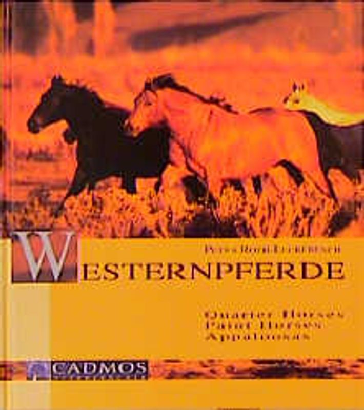Westernpferde