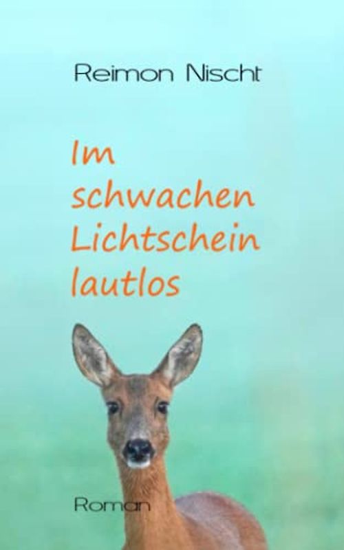 Im schwachen Lichtschein lautlos
