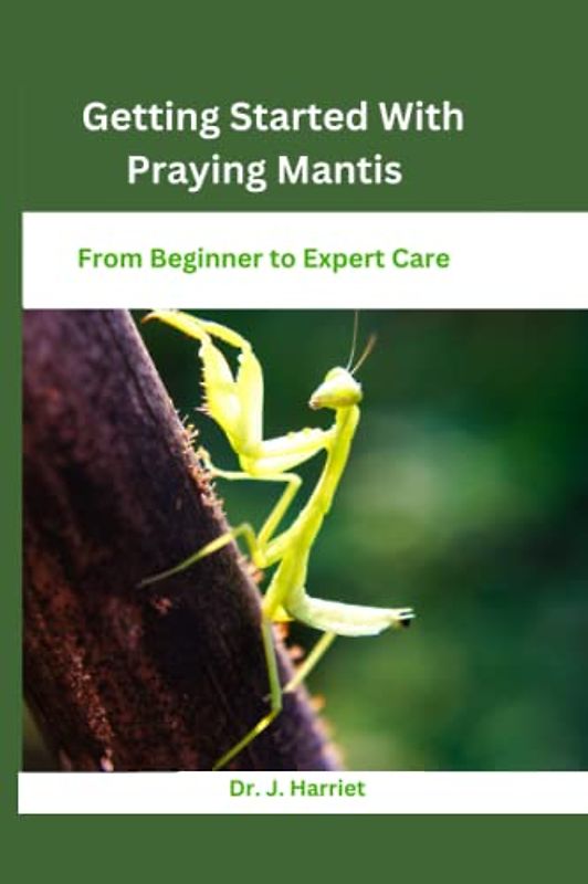 Getting Started With Praying Mantis: From Beginner to Expert Care
