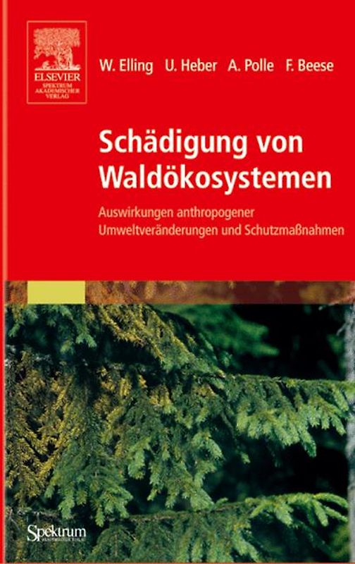 Schädigung von Waldökosystemen