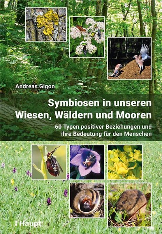 Symbiosen in unseren Wiesen, Wäldern und Mooren