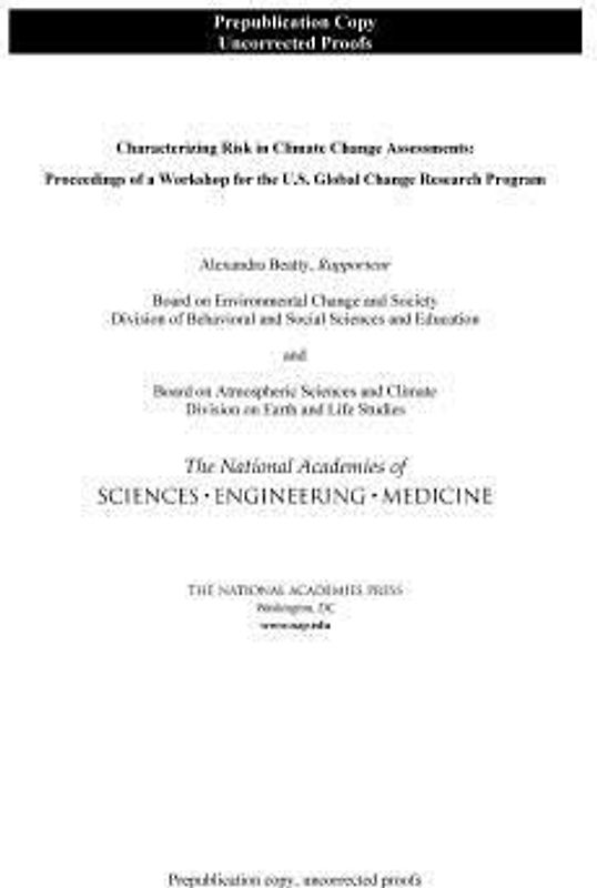 Characterizing Risk in Climate Change Assessments