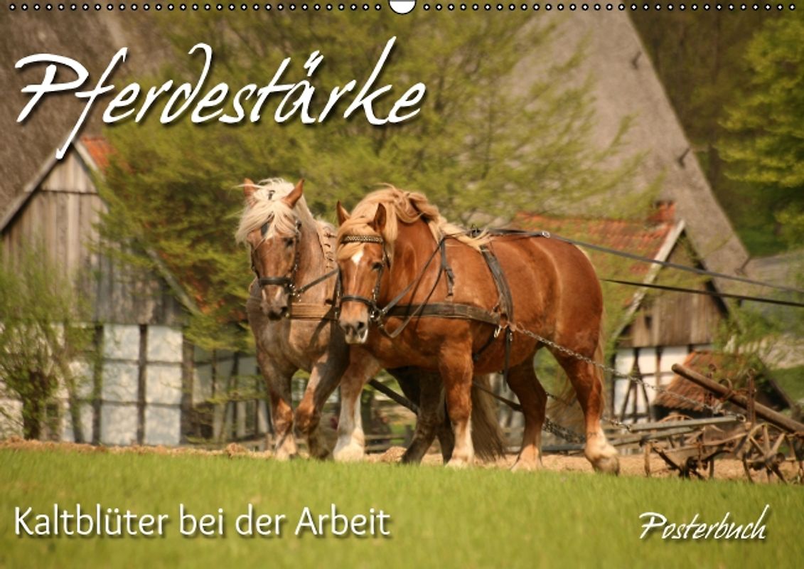 Pferdestärke (PosterbuchDIN A2 quer)