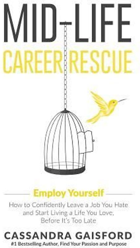 Mid-Life Career Rescue