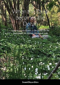 When the Drop becomes the Ocean