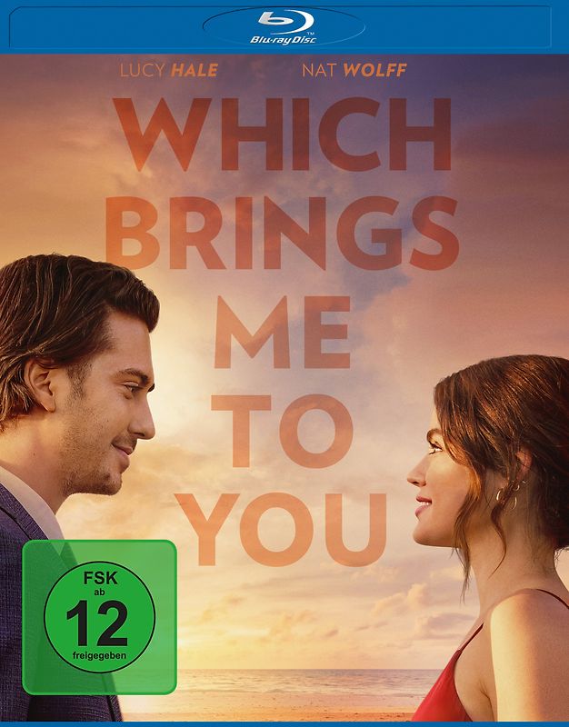 Which Brings Me to You BD Blu-ray Disc