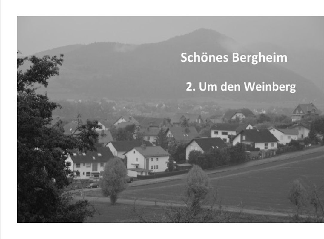 Schönes Bergheim / 2. Um den Weinberg