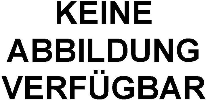 Ökonomie der Arisierung. Teil 2: Wirtschaftssektoren, Branchen, Falldarstellungen
