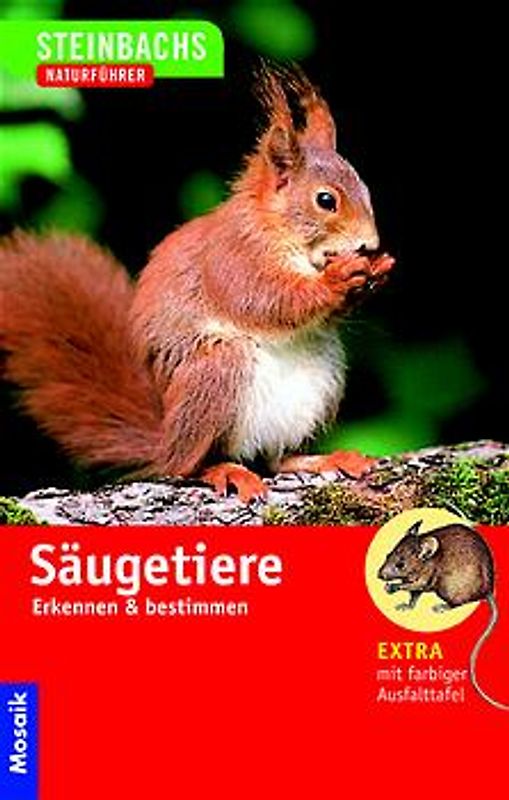 Säugetiere