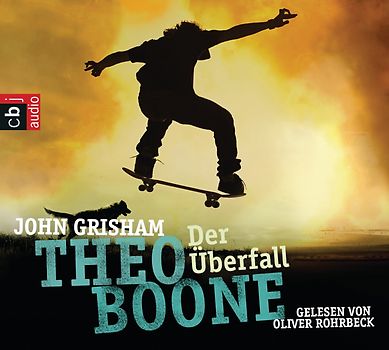 Theo Boone: Der Überfall