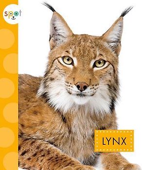 Lynx