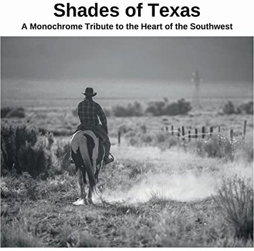 Shades of Texas: A Monochrome Tribute to the Heart of the Southwest