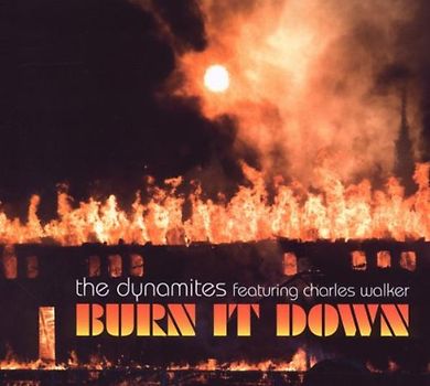 Dynamites,the Feat. Walker,Charles - Burn It Down