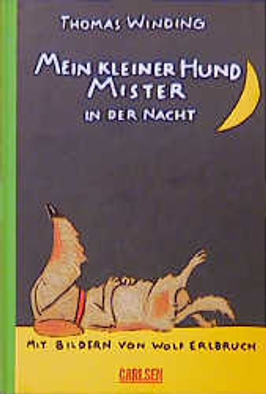 Mein kleiner Hund Mister in der Nacht