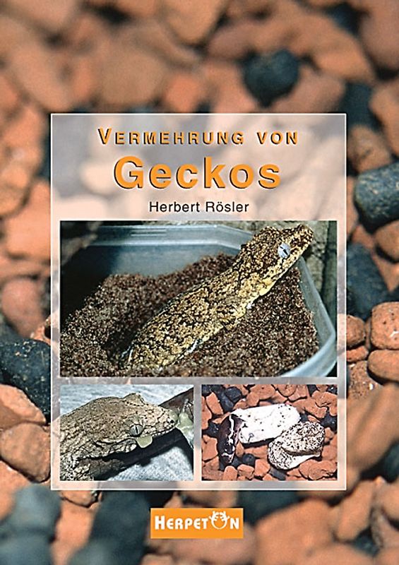 Vermehrung von Geckos