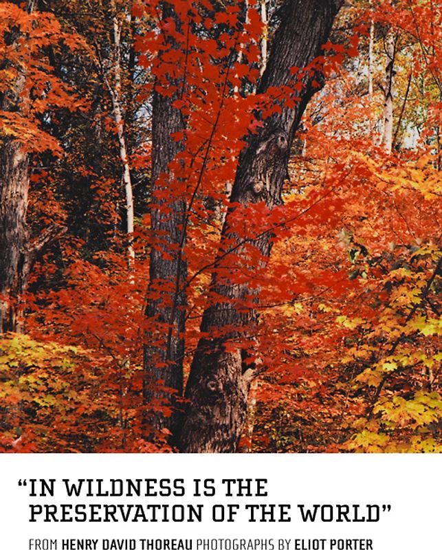 In Wildness is the Preservation of the World
