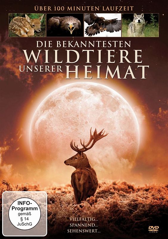 Die bekanntesten Wildtiere unserer Heima DVD