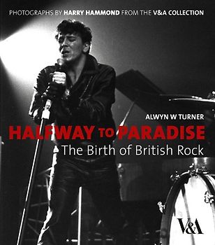 Halfway to Paradise: The Birth of British Rock - Alwyn W. Turner