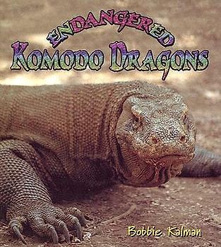 Endangered Komodo Dragons