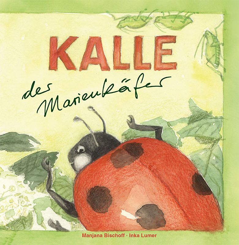Kalle - Der Marienkäfer