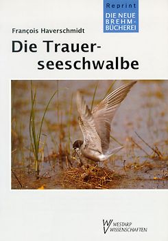 Die Trauerseeschwalbe