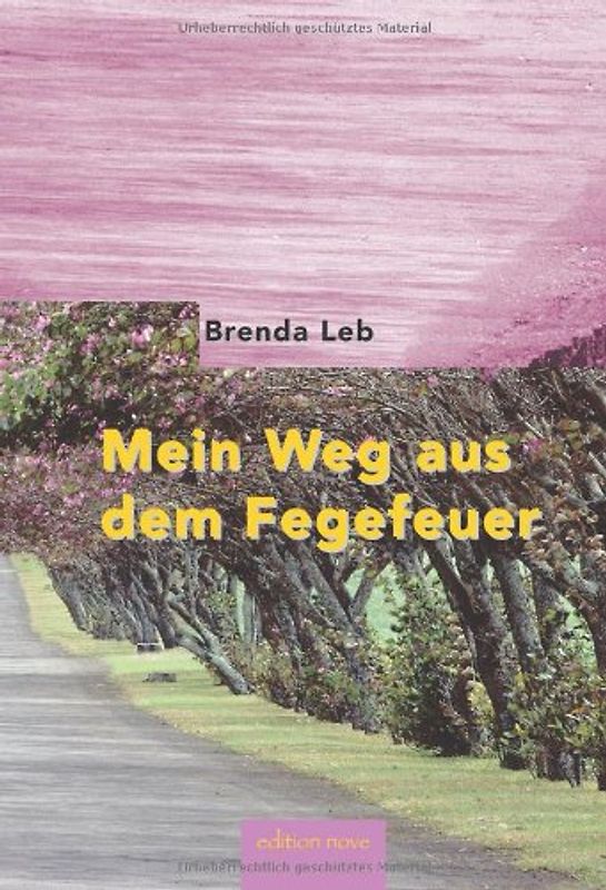 Mein Weg aus dem Fegefeuer