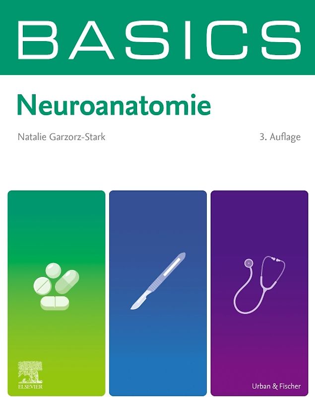 BASICS Neuroanatomie