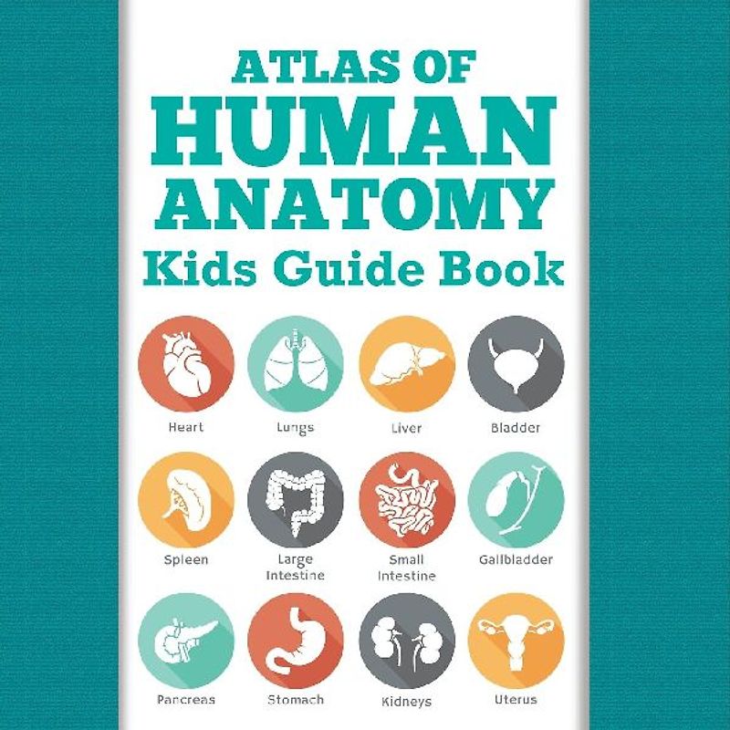 Atlas Of Human Anatomy
