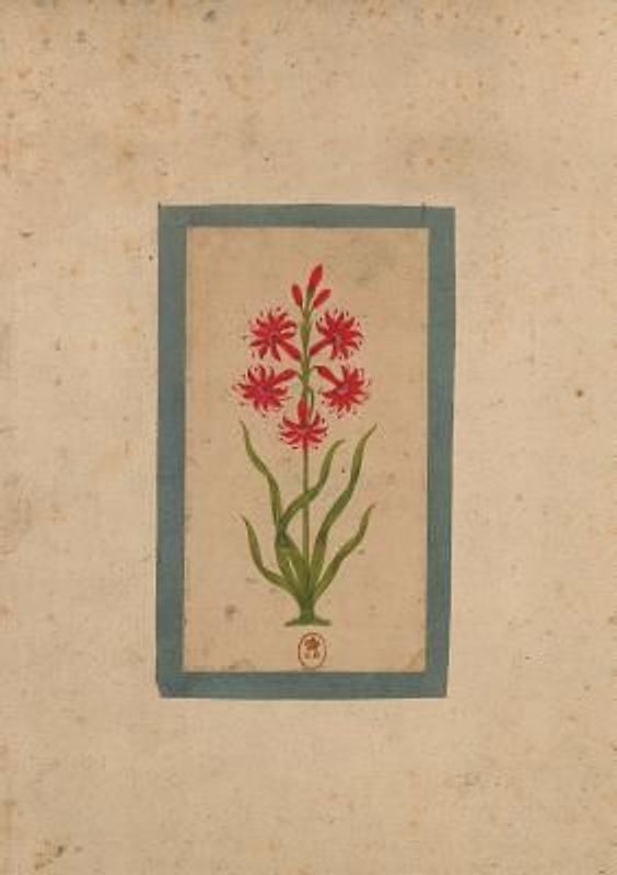 Carnet Ligné Fleur 1, Miniature Indienne 18e Siècle