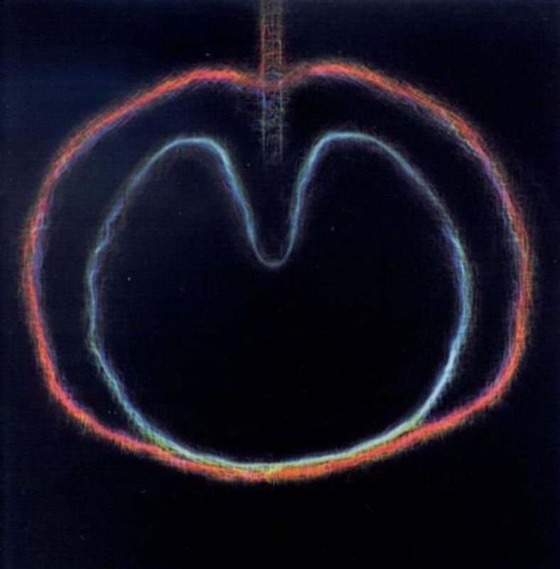Xtc - Wasp Star (Apple Venus 2)
