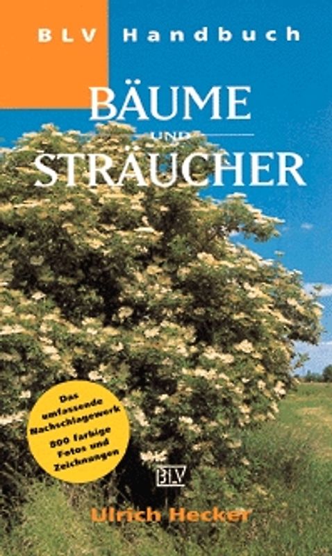 BLV Handbuch Bäume und Sträucher