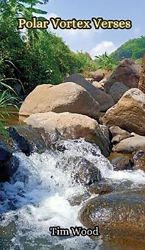 Polar Vortex Verses