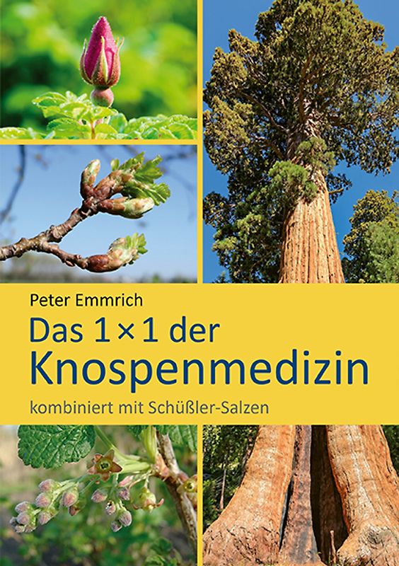 Das 1×1 der Knospenmedizin